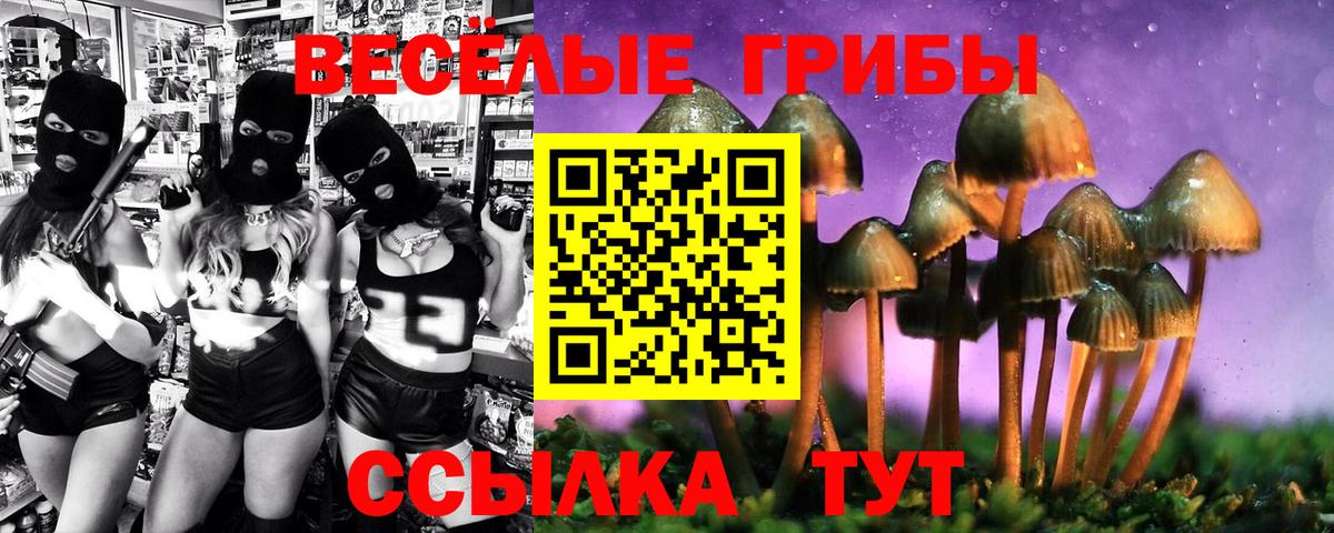 Галлюциногенные грибы GOLDEN TEACHER Россошь